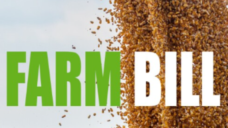 Farm Bill text overlaying a cascade of falling grains in an open field, highlighting agricultural policy.