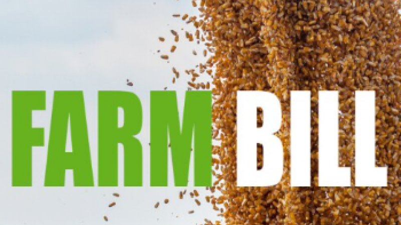 Farm Bill text overlaying a cascade of falling grains in an open field, highlighting agricultural policy.